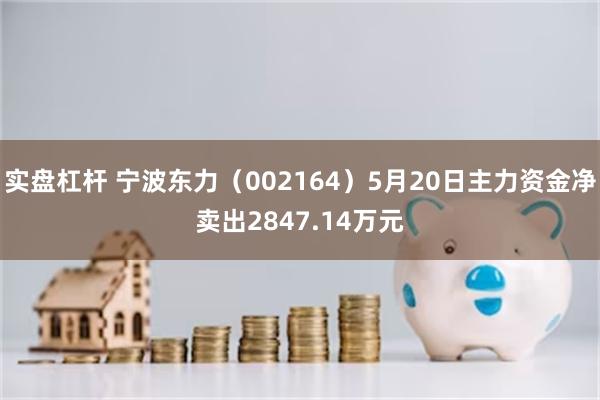 实盘杠杆 宁波东力（002164）5月20日主力资金净卖出2847.14万元