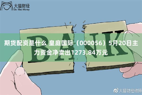期货配资是什么 皇庭国际（000056）5月20日主力资金净卖出1273.84万元