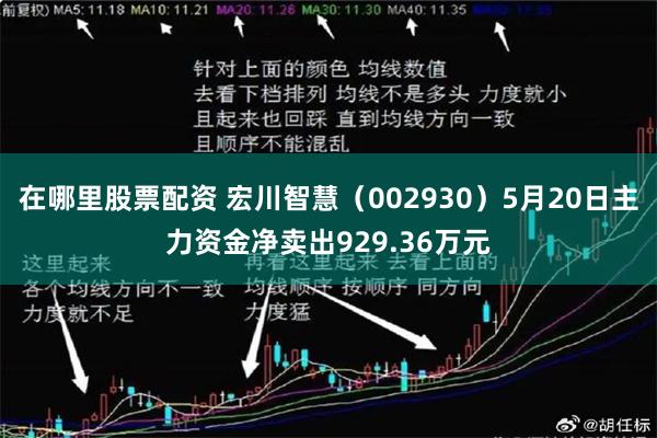 在哪里股票配资 宏川智慧（002930）5月20日主力资金净卖出929.36万元