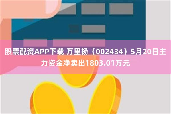 股票配资APP下载 万里扬（002434）5月20日主力资金净卖出1803.01万元