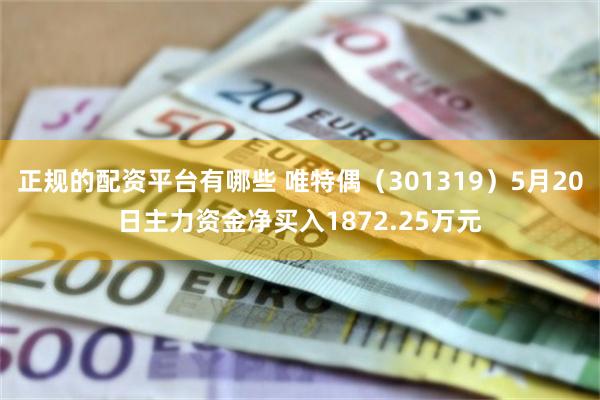 正规的配资平台有哪些 唯特偶（301319）5月20日主力资金净买入1872.25万元