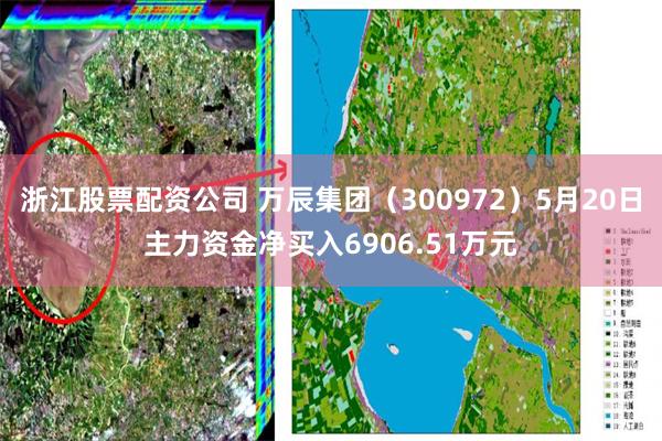 浙江股票配资公司 万辰集团（300972）5月20日主力资金净买入6906.51万元