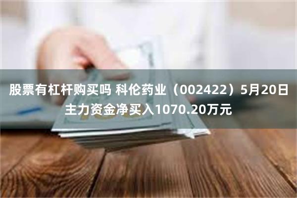 股票有杠杆购买吗 科伦药业（002422）5月20日主力资金净买入1070.20万元