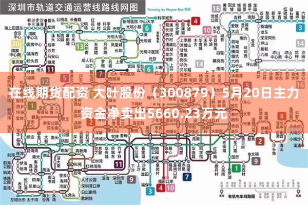 在线期货配资 大叶股份（300879）5月20日主力资金净卖出5660.23万元
