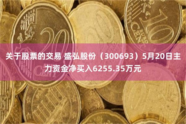 关于股票的交易 盛弘股份（300693）5月20日主力资金净买入6255.35万元