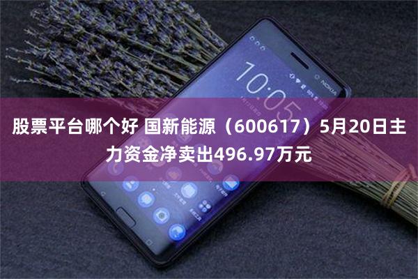 股票平台哪个好 国新能源（600617）5月20日主力资金净卖出496.97万元