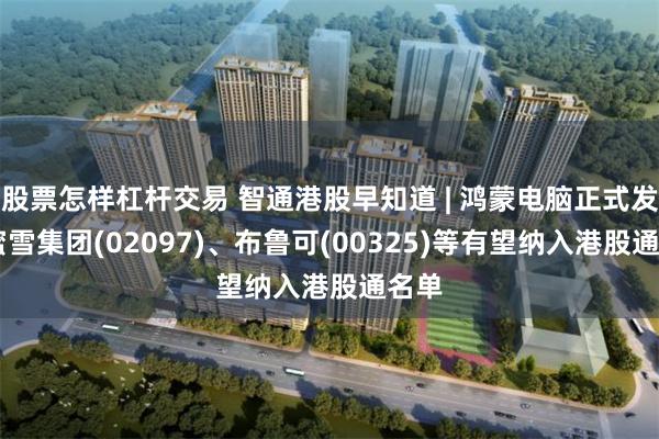 股票怎样杠杆交易 智通港股早知道 | 鸿蒙电脑正式发布 蜜雪集团(02097)、布鲁可(00325)等有望纳入港股通名单
