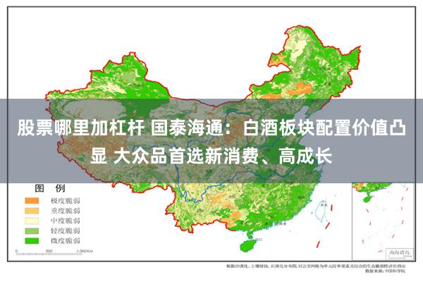 股票哪里加杠杆 国泰海通：白酒板块配置价值凸显 大众品首选新消费、高成长