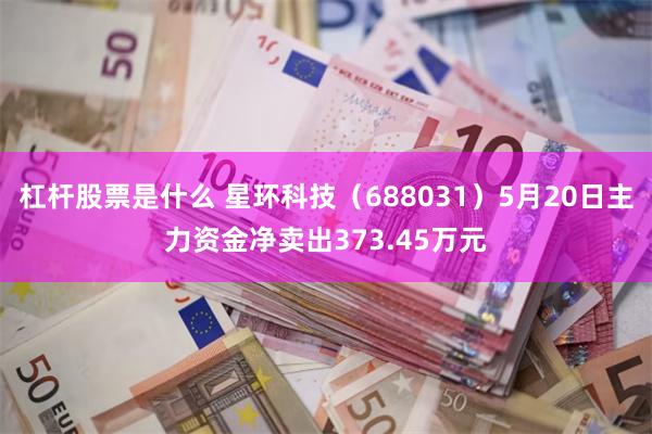 杠杆股票是什么 星环科技（688031）5月20日主力资金净卖出373.45万元