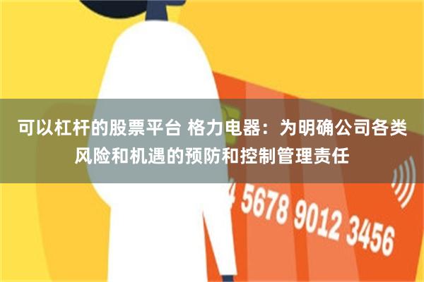 可以杠杆的股票平台 格力电器：为明确公司各类风险和机遇的预防和控制管理责任