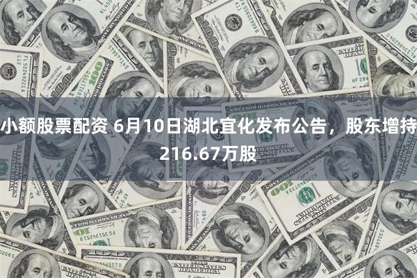 小额股票配资 6月10日湖北宜化发布公告，股东增持216.67万股