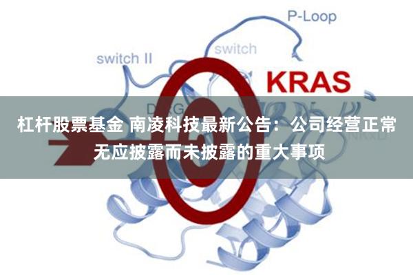 杠杆股票基金 南凌科技最新公告：公司经营正常 无应披露而未披露的重大事项