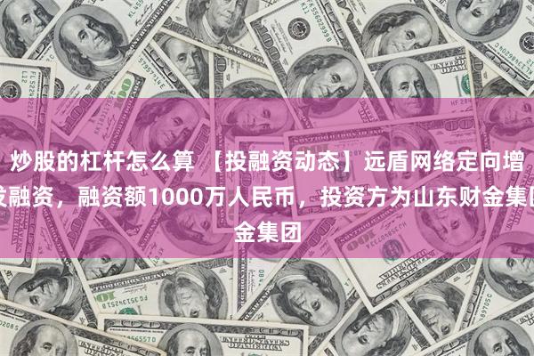 炒股的杠杆怎么算 【投融资动态】远盾网络定向增发融资，融资额1000万人民币，投资方为山东财金集团