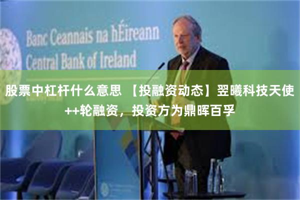 股票中杠杆什么意思 【投融资动态】翌曦科技天使++轮融资，投资方为鼎晖百孚