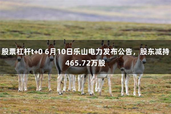 股票杠杆t+0 6月10日乐山电力发布公告，股东减持465.72万股