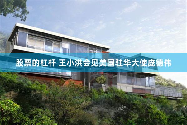 股票的杠杆 王小洪会见美国驻华大使庞德伟