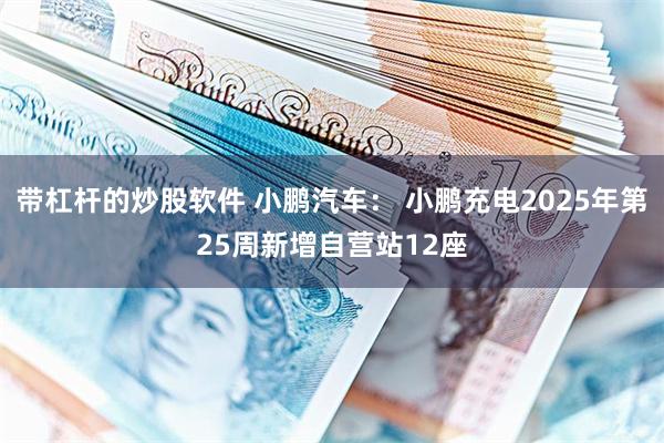 带杠杆的炒股软件 小鹏汽车： 小鹏充电2025年第25周新增自营站12座