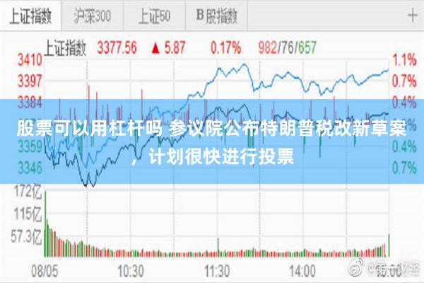 股票可以用杠杆吗 参议院公布特朗普税改新草案，计划很快进行投票