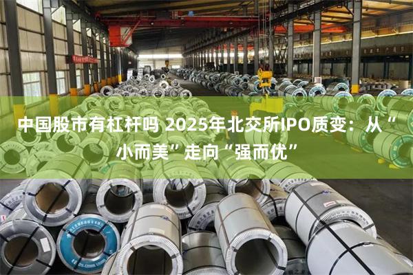 中国股市有杠杆吗 2025年北交所IPO质变:从“小而美”走向“强而优”