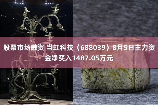 股票市场融资 当虹科技（688039）8月5日主力资金净买入1487.05万元