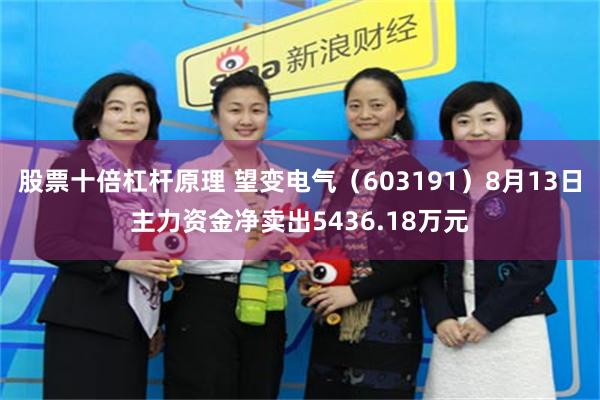 股票十倍杠杆原理 望变电气（603191）8月13日主力资金净卖出5436.18万元