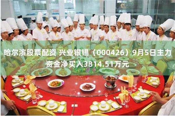 哈尔滨股票配资 兴业银锡（000426）9月5日主力资金净买入3814.51万元
