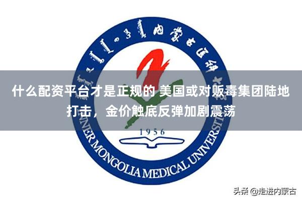 什么配资平台才是正规的 美国或对贩毒集团陆地打击，金价触底反弹加剧震荡