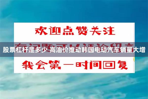 股票杠杆是多少 高油价推动韩国电动汽车销量大增