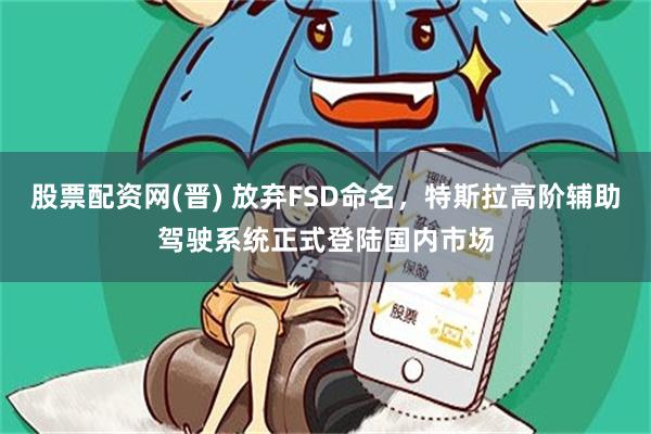 股票配资网(晋) 放弃FSD命名，特斯拉高阶辅助驾驶系统正式登陆国内市场