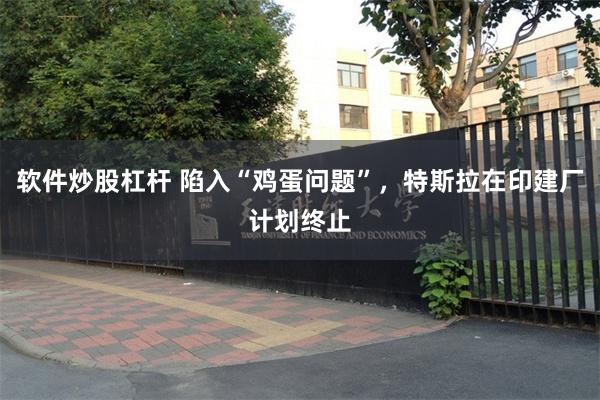 软件炒股杠杆 陷入“鸡蛋问题”，特斯拉在印建厂计划终止