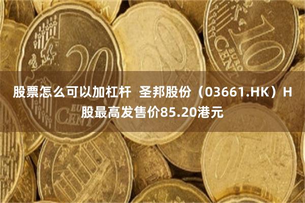 股票怎么可以加杠杆  圣邦股份（03661.HK）H股最高发售价85.20港元