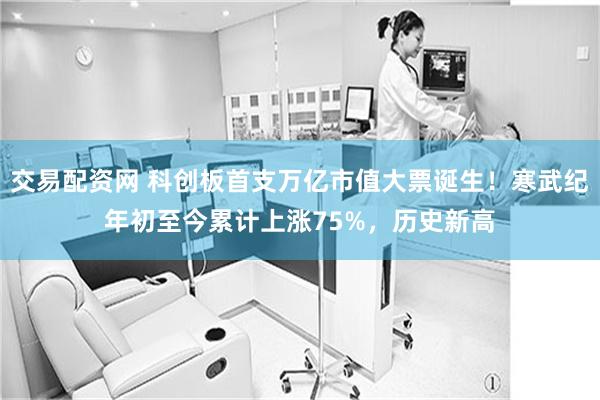 交易配资网 科创板首支万亿市值大票诞生！寒武纪年初至今累计上涨75%，历史新高