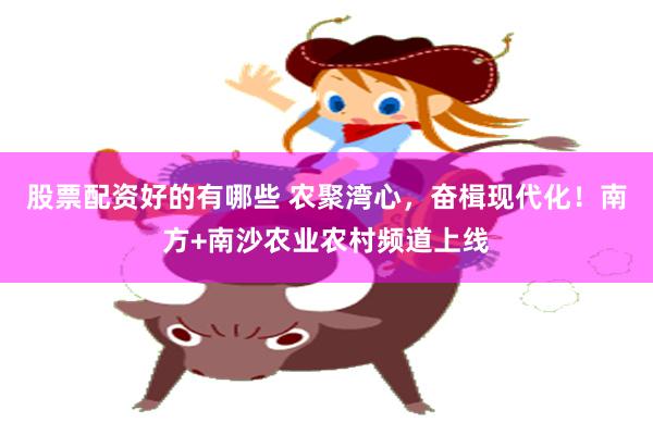 股票配资好的有哪些 农聚湾心,奋楫现代化!南方+南沙农业农村频道上线