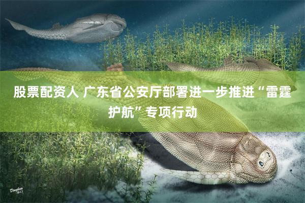 股票配资人 广东省公安厅部署进一步推进“雷霆护航”专项行动