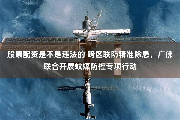 股票配资是不是违法的 跨区联防精准除患，广佛联合开展蚊媒防控专项行动