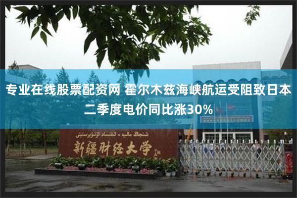 专业在线股票配资网 霍尔木兹海峡航运受阻致日本二季度电价同比涨30%