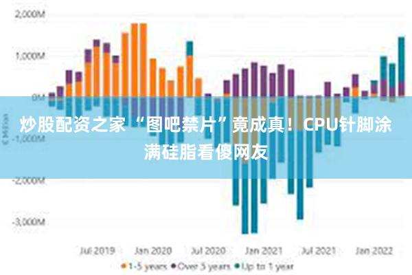 炒股配资之家 “图吧禁片”竟成真！CPU针脚涂满硅脂看傻网友
