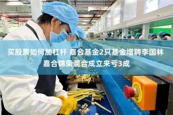 买股票如何加杠杆 嘉合基金2只基金增聘李国林 嘉合锦荣混合成立来亏3成