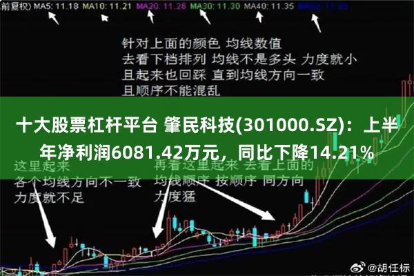 十大股票杠杆平台 肇民科技(301000.SZ)：上半年净利润6081.42万元，同比下降14.21%