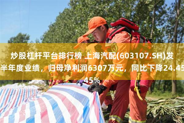 炒股杠杆平台排行榜 上海汽配(603107.SH)发布半年度业绩，归母净利润6307万元，同比下降24.45%