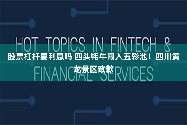 股票杠杆要利息吗 四头牦牛闯入五彩池！四川黄龙景区致歉
