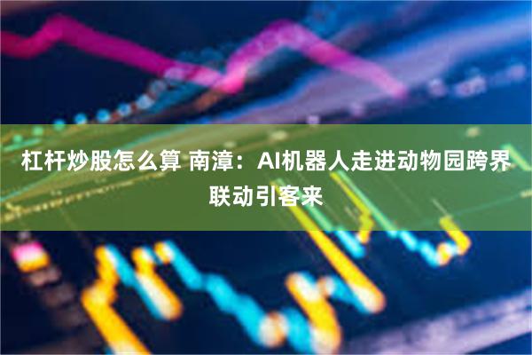 杠杆炒股怎么算 南漳：AI机器人走进动物园跨界联动引客来