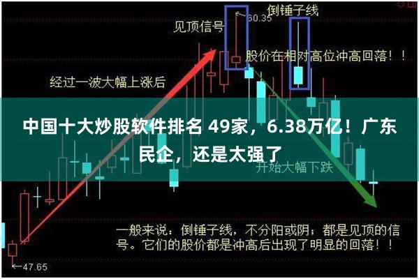 中国十大炒股软件排名 49家，6.38万亿！广东民企，还是太强了