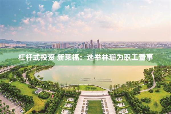杠杆式投资 新莱福:选举林珊为职工董事