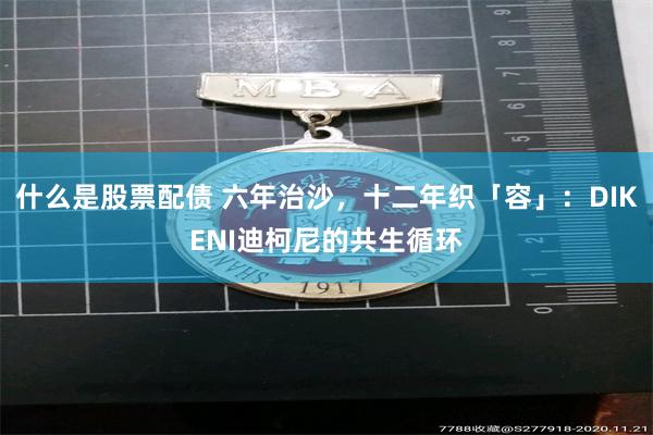什么是股票配债 六年治沙，十二年织「容」：DIKENI迪柯尼的共生循环