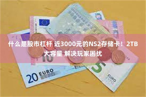 什么是股市杠杆 近3000元的NS2存储卡！2TB大容量 解决玩家困扰