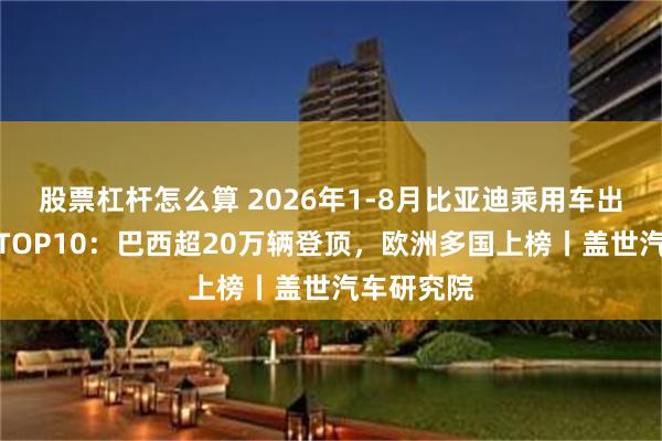 股票杠杆怎么算 2026年1-8月比亚迪乘用车出口目的地TOP10：巴西超20万辆登顶，欧洲多国上榜丨盖世汽车研究院